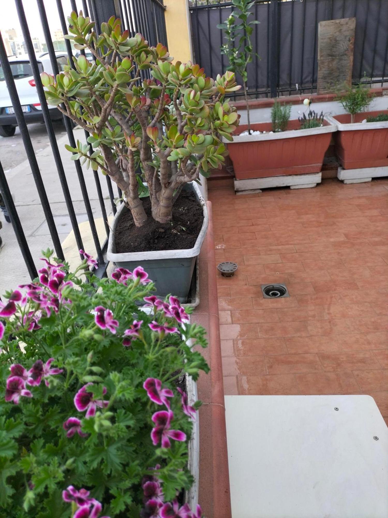 Appartamento Ciuridda Mia Palermo Esterno foto