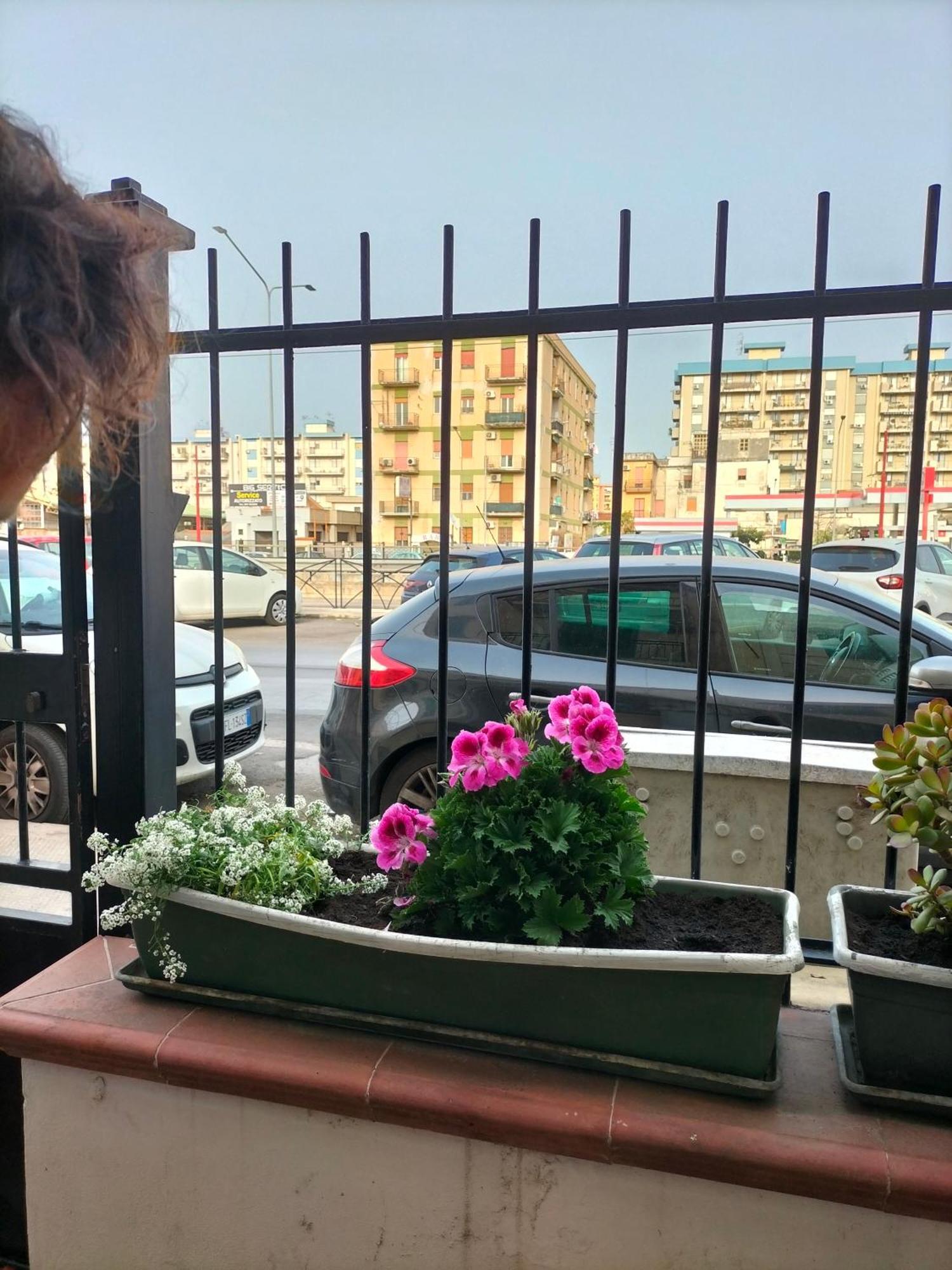 Appartamento Ciuridda Mia Palermo Esterno foto