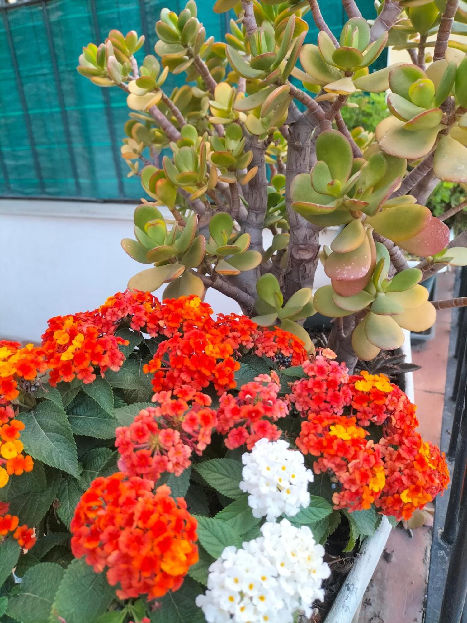 Appartamento Ciuridda Mia Palermo Esterno foto