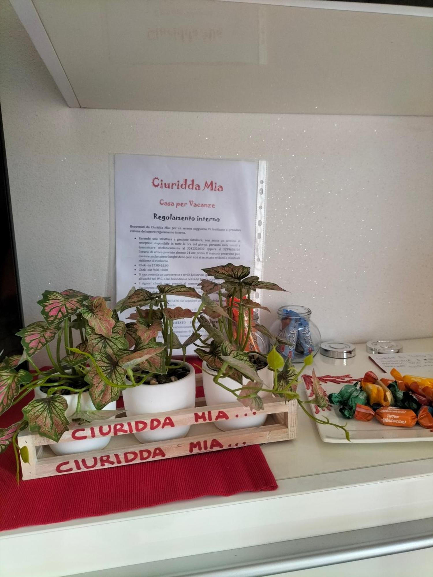 Appartamento Ciuridda Mia Palermo Esterno foto