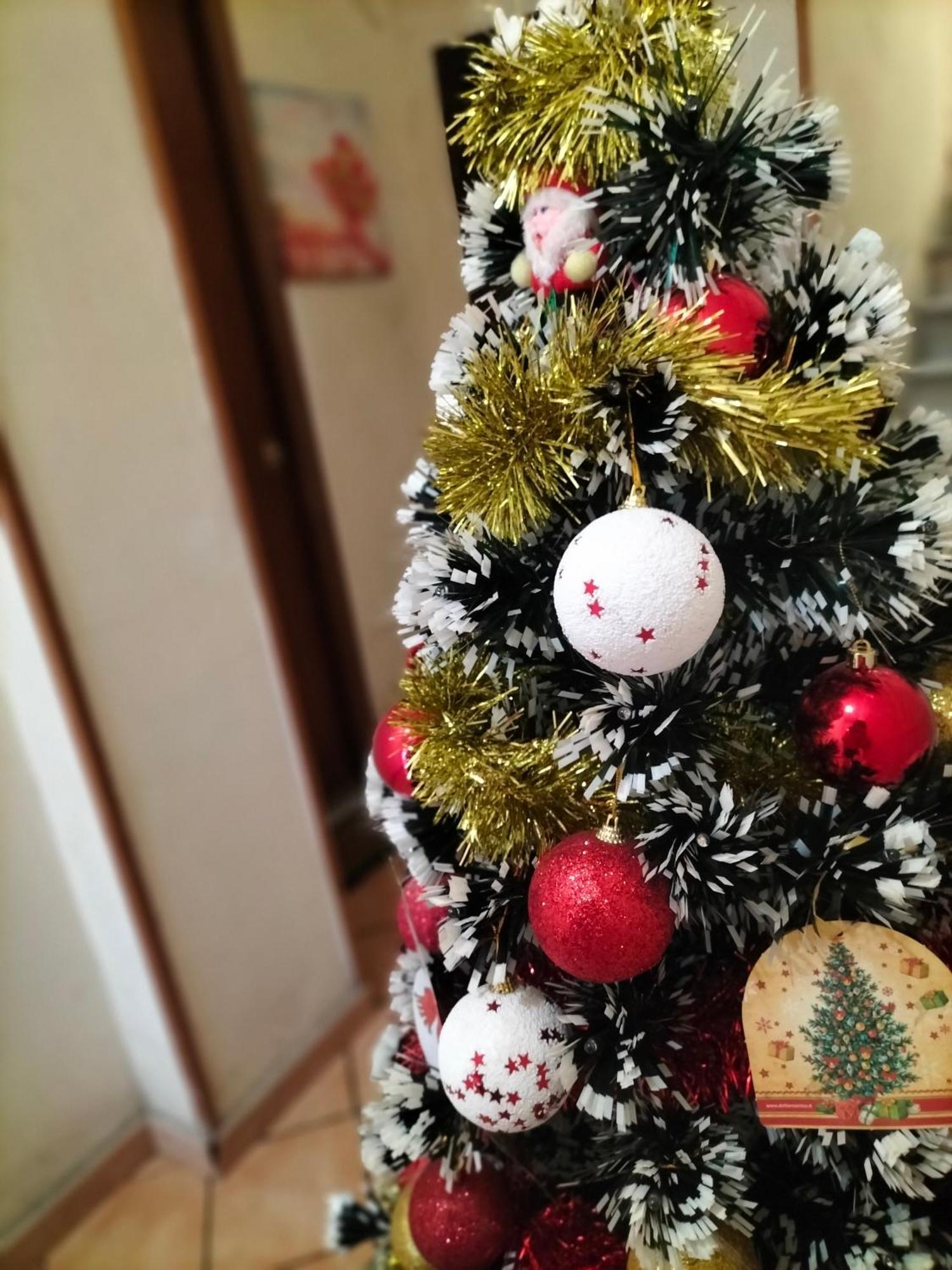 Appartamento Ciuridda Mia Palermo Esterno foto